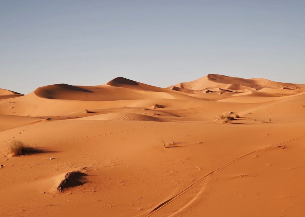 Arid
